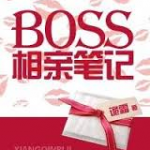 Boss's Blind Date Notes (Boss 相亲笔记) by 诡霜 Gui Shuang (HE)