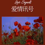 Love Signals 爱情讯号 by 时星草 Shi Xing Cao (HE)