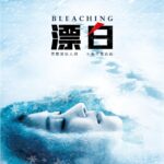 Bleaching (Drifting Away) 漂白 by 陈枰 Chen Ping